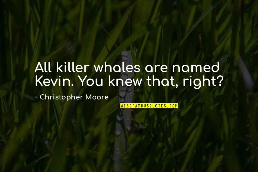 Personalised Quotes By Christopher Moore: All killer whales are named Kevin. You knew Personalised Quotes By Christopher Moore: All killer whales are named Kevin. You knew