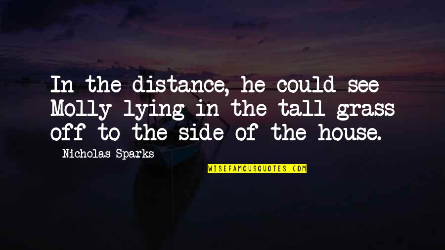 Personalitatea Profesorului Quotes By Nicholas Sparks: In the distance, he could see Molly lying