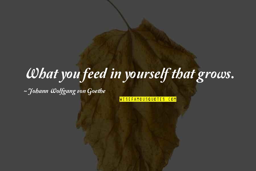 Personality Psychology Quotes By Johann Wolfgang Von Goethe: What you feed in yourself that grows.