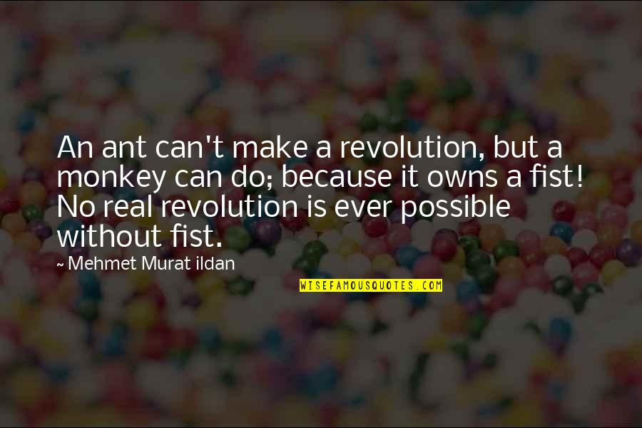 Personality Styles Quotes By Mehmet Murat Ildan: An ant can't make a revolution, but a Personality Styles Quotes By Mehmet Murat Ildan: An ant can't make a revolution, but a