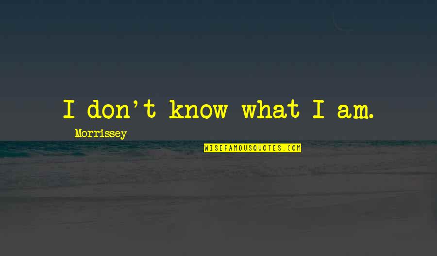 Persone Quotes By Morrissey: I don't know what I am. Persone Quotes By Morrissey: I don't know what I am.