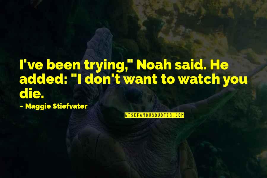 Personify Quotes By Maggie Stiefvater: I've been trying," Noah said. He added: "I