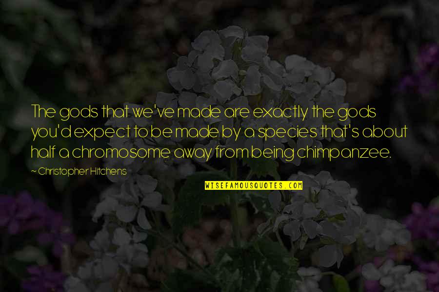 Persons Attitude Quotes By Christopher Hitchens: The gods that we've made are exactly the