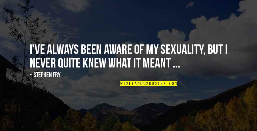 Personwerawerk Quotes By Stephen Fry: I've always been aware of my sexuality, but