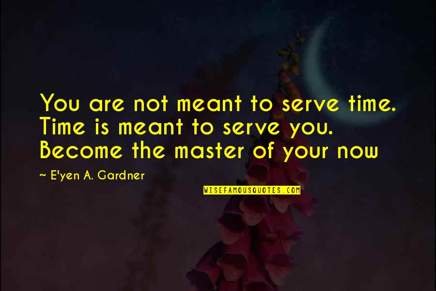 Perspective And Knowledge Quotes By E'yen A. Gardner: You are not meant to serve time. Time