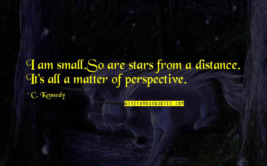 Perspective And Love Quotes By C. Kennedy: I am small.So are stars from a distance.