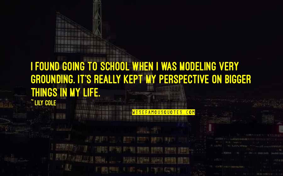 Perspective In Life Quotes By Lily Cole: I found going to school when I was