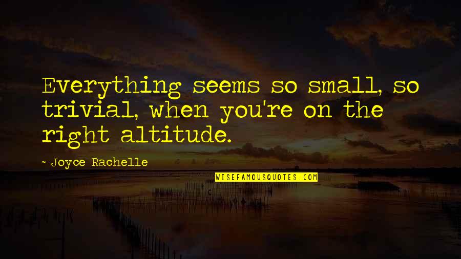 Perspective Is Everything Quotes By Joyce Rachelle: Everything seems so small, so trivial, when you're