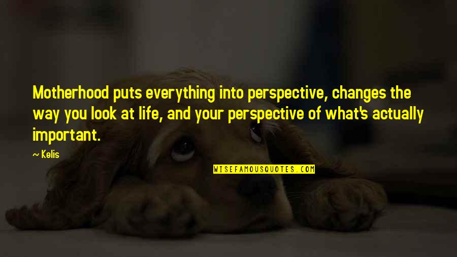 Perspective Is Everything Quotes By Kelis: Motherhood puts everything into perspective, changes the way Perspective Is Everything Quotes By Kelis: Motherhood puts everything into perspective, changes the way