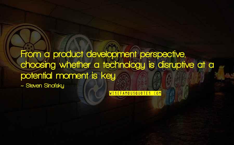Perspective Is Key Quotes By Steven Sinofsky: From a product development perspective, choosing whether a