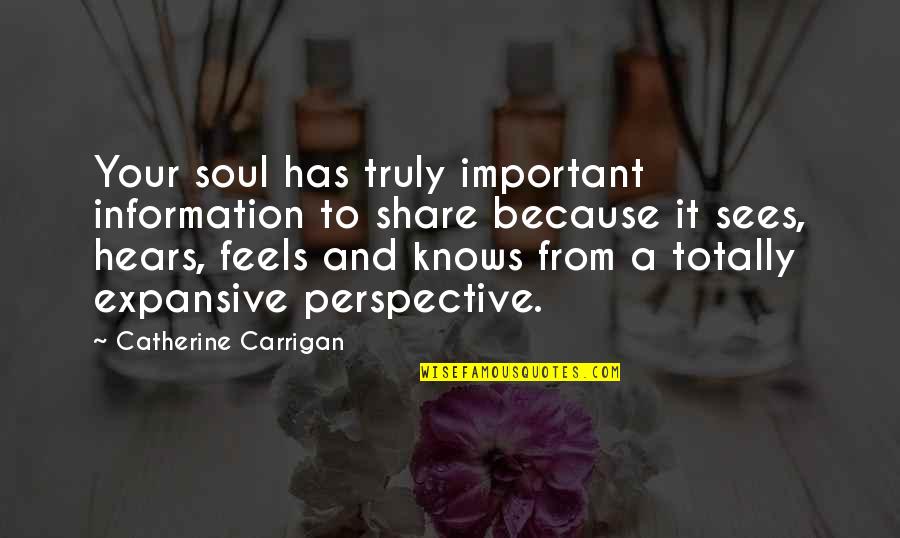 Perspective Quotes Quotes By Catherine Carrigan: Your soul has truly important information to share