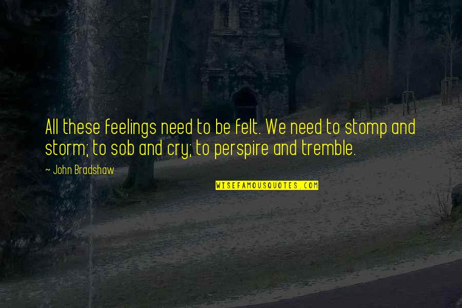 Perspire Quotes By John Bradshaw: All these feelings need to be felt. We