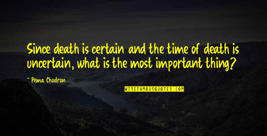 Persuadido Significado Quotes By Pema Chodron: Since death is certain and the time of