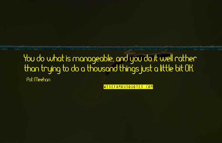 Persun Caj Quotes By Pat Meehan: You do what is manageable, and you do Persun Caj Quotes By Pat Meehan: You do what is manageable, and you do