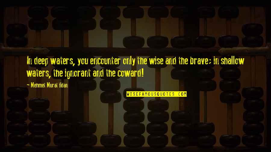 Pertanggungjawaban Apbn Quotes By Mehmet Murat Ildan: In deep waters, you encounter only the wise Pertanggungjawaban Apbn Quotes By Mehmet Murat Ildan: In deep waters, you encounter only the wise
