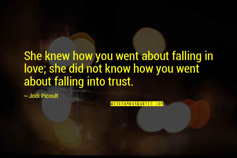 Pertukaran Mahasiswa Quotes By Jodi Picoult: She knew how you went about falling in