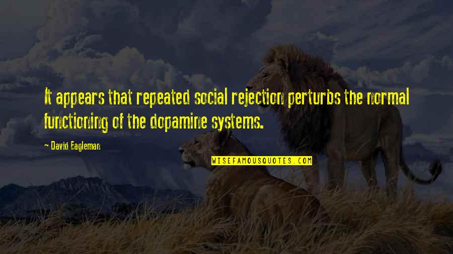 Perturbs Quotes By David Eagleman: It appears that repeated social rejection perturbs the