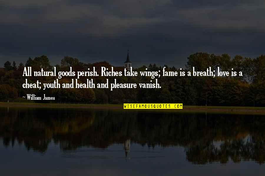 Pertzborn Quotes By William James: All natural goods perish. Riches take wings; fame