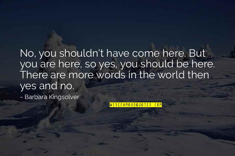 Perungudi Quotes By Barbara Kingsolver: No, you shouldn't have come here. But you