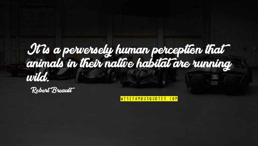 Perversely Quotes By Robert Breault: It is a perversely human perception that animals