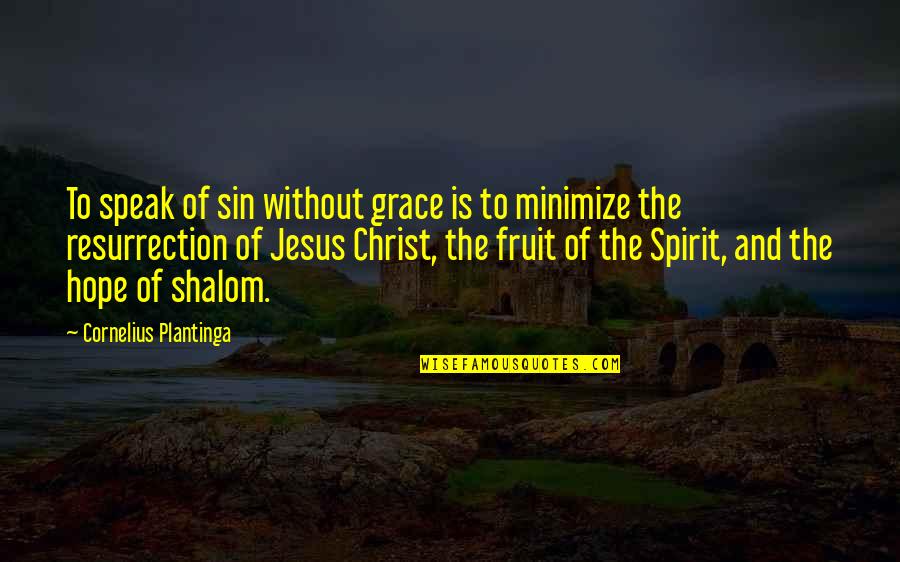 Perverters Quotes By Cornelius Plantinga: To speak of sin without grace is to