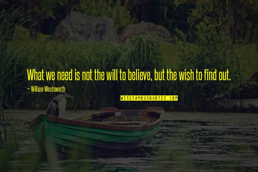 Pescatelli Tammy Quotes By William Wordsworth: What we need is not the will to