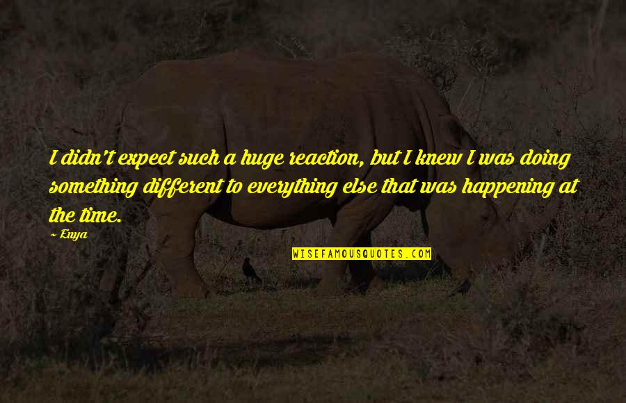 Pessimism And Success Quotes By Enya: I didn't expect such a huge reaction, but