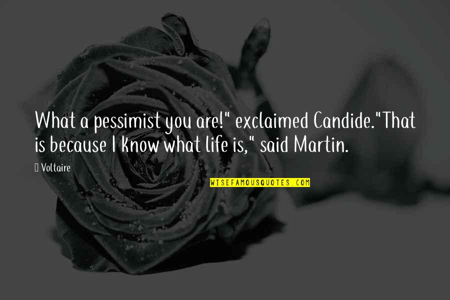 Pessimist Best Quotes By Voltaire: What a pessimist you are!" exclaimed Candide."That is