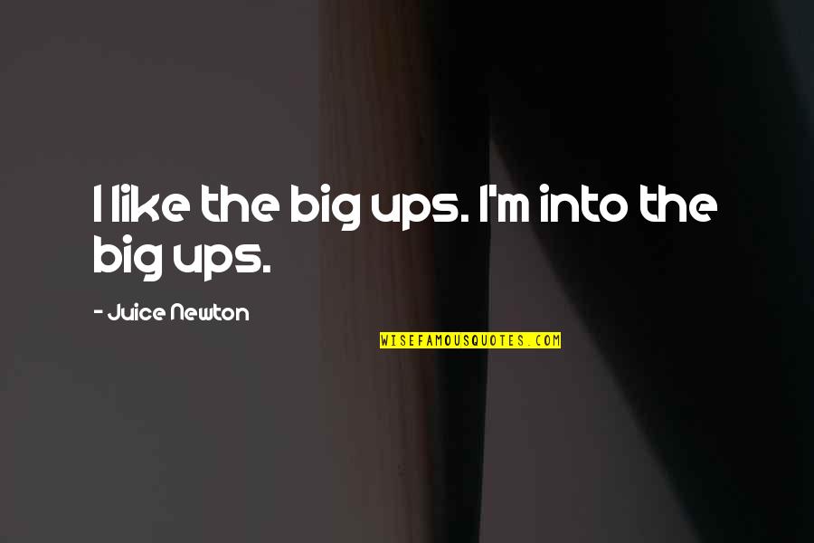 Pessimist Realist Quotes By Juice Newton: I like the big ups. I'm into the Pessimist Realist Quotes By Juice Newton: I like the big ups. I'm into the