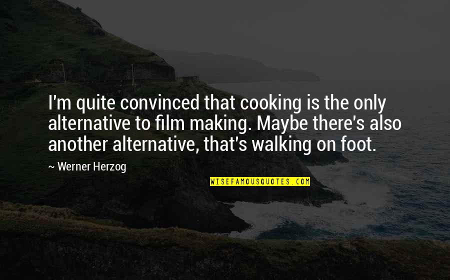 Pessoas Albinas Quotes By Werner Herzog: I'm quite convinced that cooking is the only