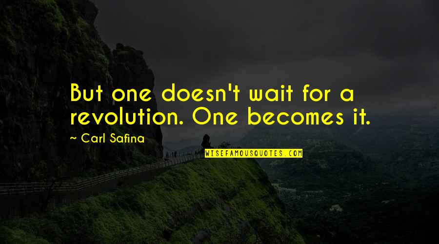 Pestering People Quotes By Carl Safina: But one doesn't wait for a revolution. One