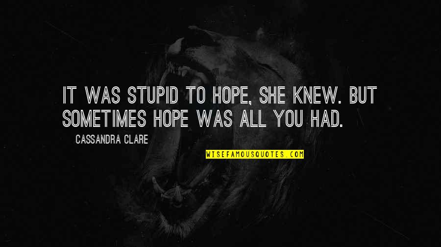 Pestiferous Components Quotes By Cassandra Clare: It was stupid to hope, she knew. But Pestiferous Components Quotes By Cassandra Clare: It was stupid to hope, she knew. But