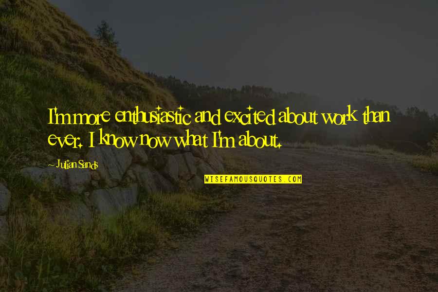 Pestilential Synonyms Quotes By Julian Sands: I'm more enthusiastic and excited about work than
