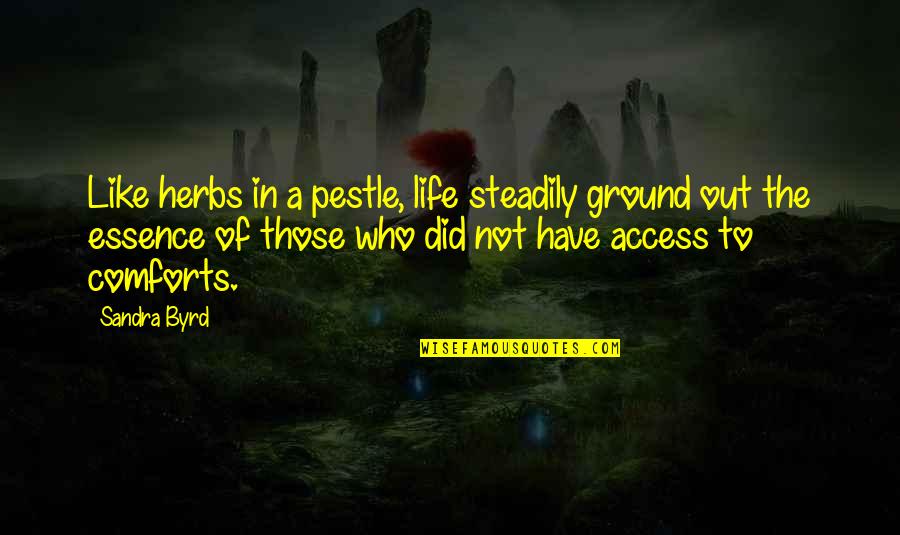 Pestle Quotes By Sandra Byrd: Like herbs in a pestle, life steadily ground