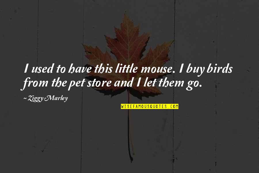Pet Birds Quotes By Ziggy Marley: I used to have this little mouse. I