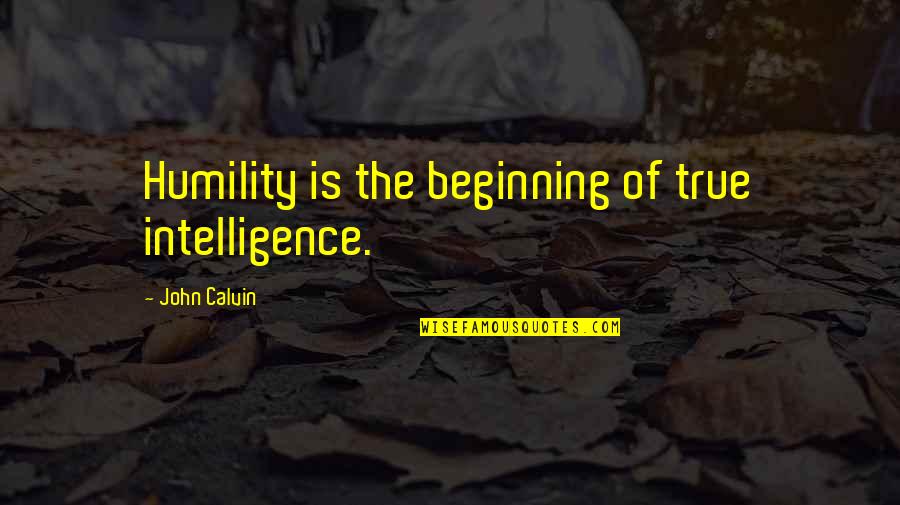 Pet Dog Love Quotes By John Calvin: Humility is the beginning of true intelligence.