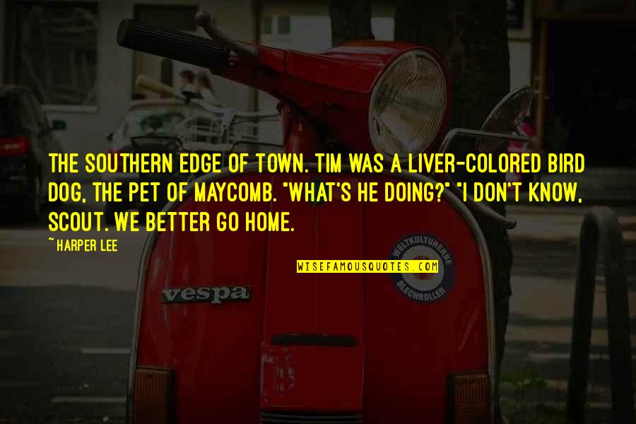 Pet Dog Quotes By Harper Lee: The southern edge of town. Tim was a