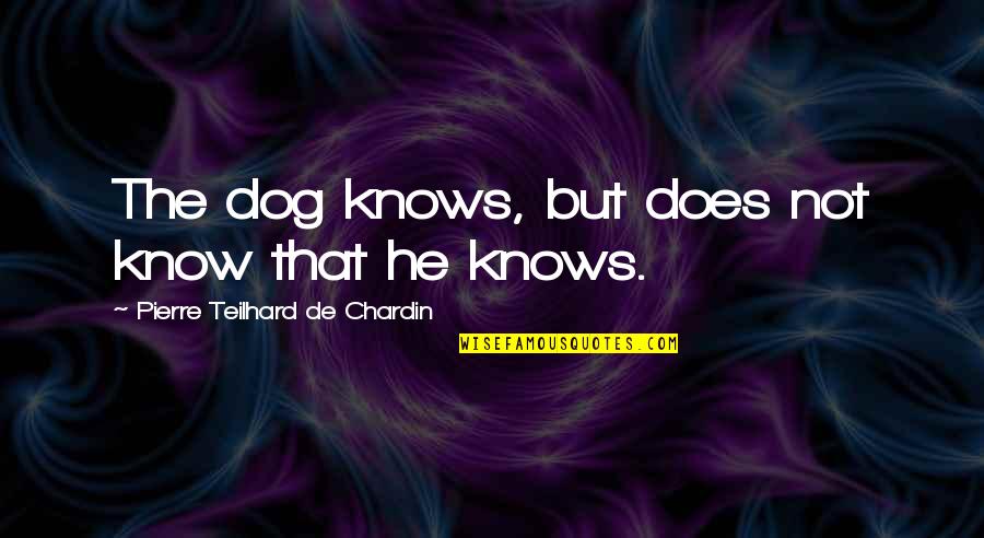 Pet Dog Quotes By Pierre Teilhard De Chardin: The dog knows, but does not know that