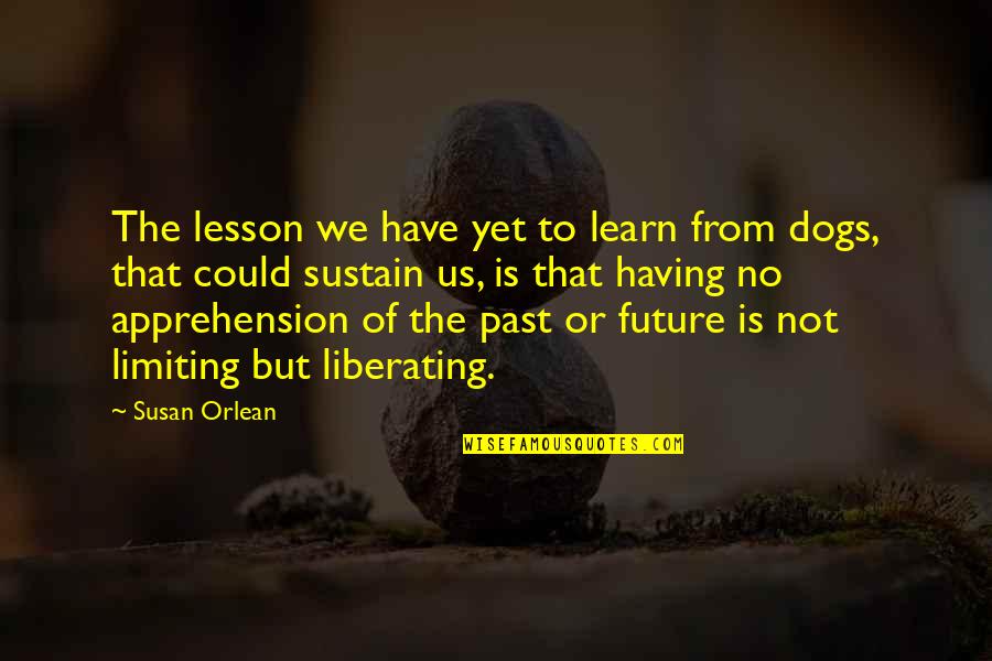 Pet Dog Quotes By Susan Orlean: The lesson we have yet to learn from