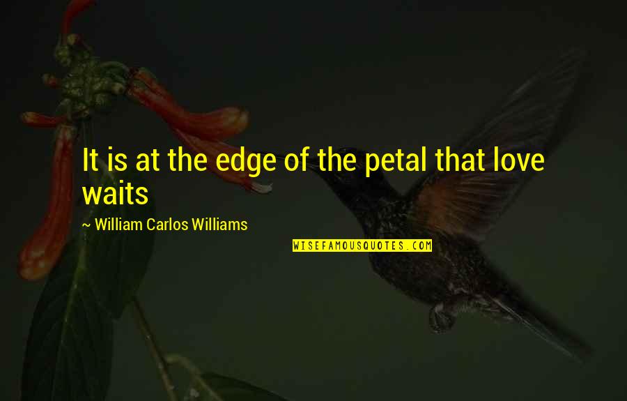 Petal Quotes By William Carlos Williams: It is at the edge of the petal