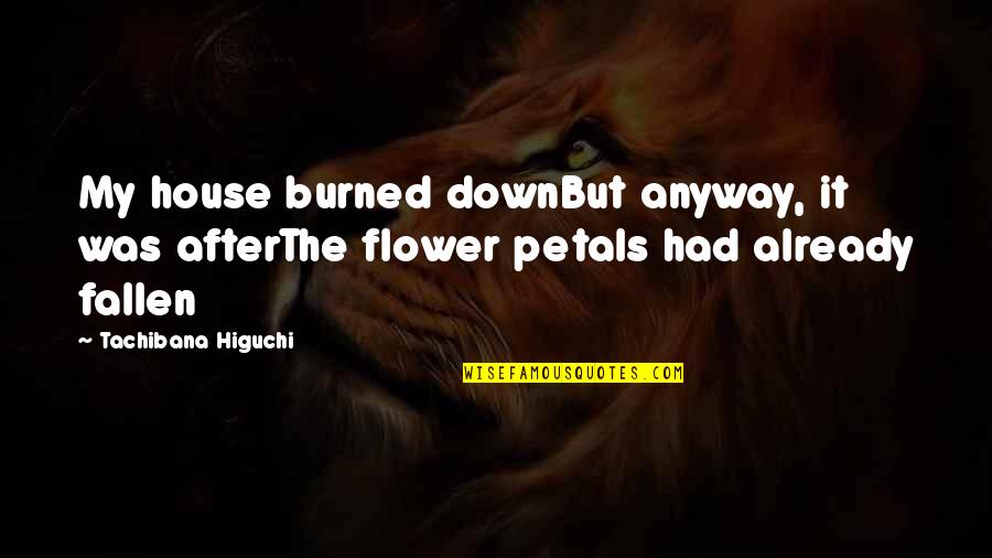 Petals N Quotes By Tachibana Higuchi: My house burned downBut anyway, it was afterThe