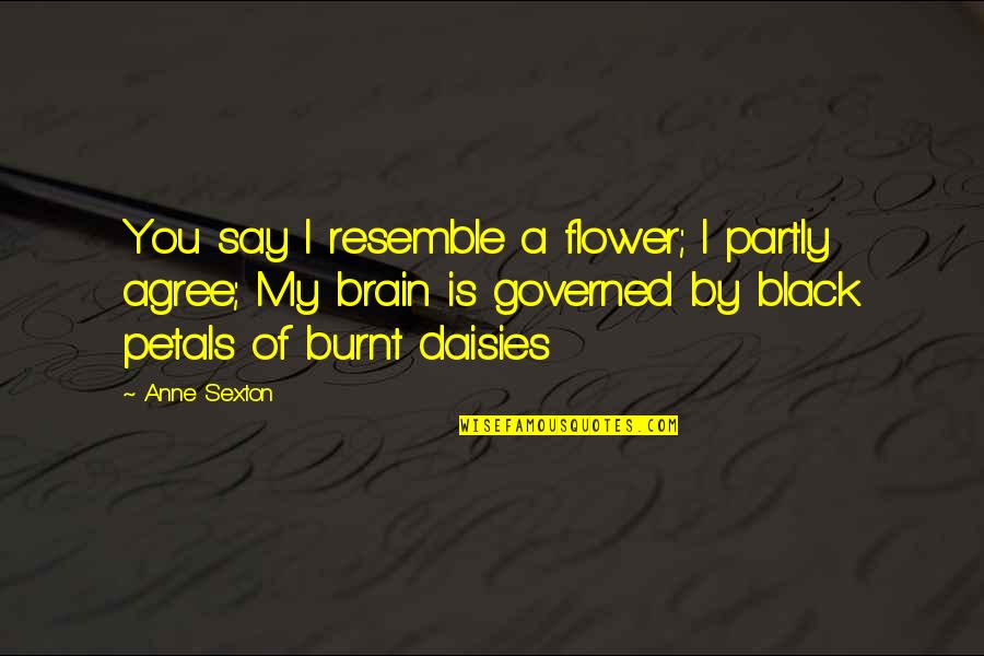Petals On A Flower Quotes By Anne Sexton: You say I resemble a flower; I partly