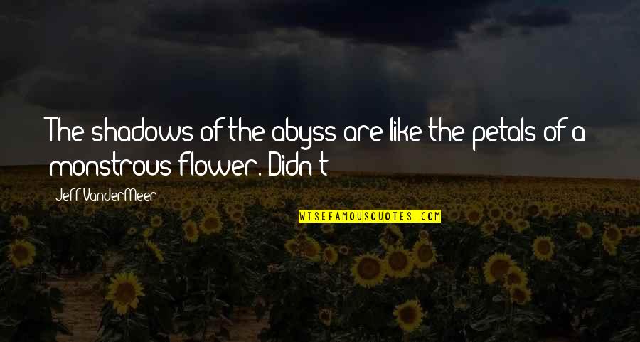 Petals On A Flower Quotes By Jeff VanderMeer: The shadows of the abyss are like the