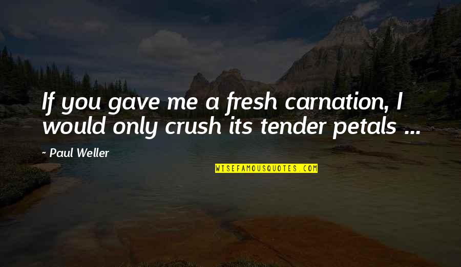 Petals Quotes By Paul Weller: If you gave me a fresh carnation, I