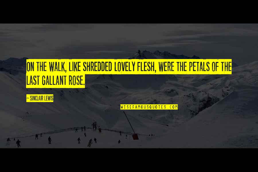 Petals Quotes By Sinclair Lewis: On the walk, like shredded lovely flesh, were