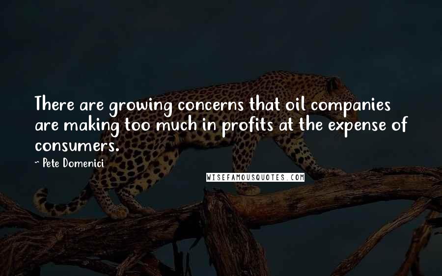 Pete Domenici quotes: There are growing concerns that oil companies are making too much in profits at the expense of consumers.