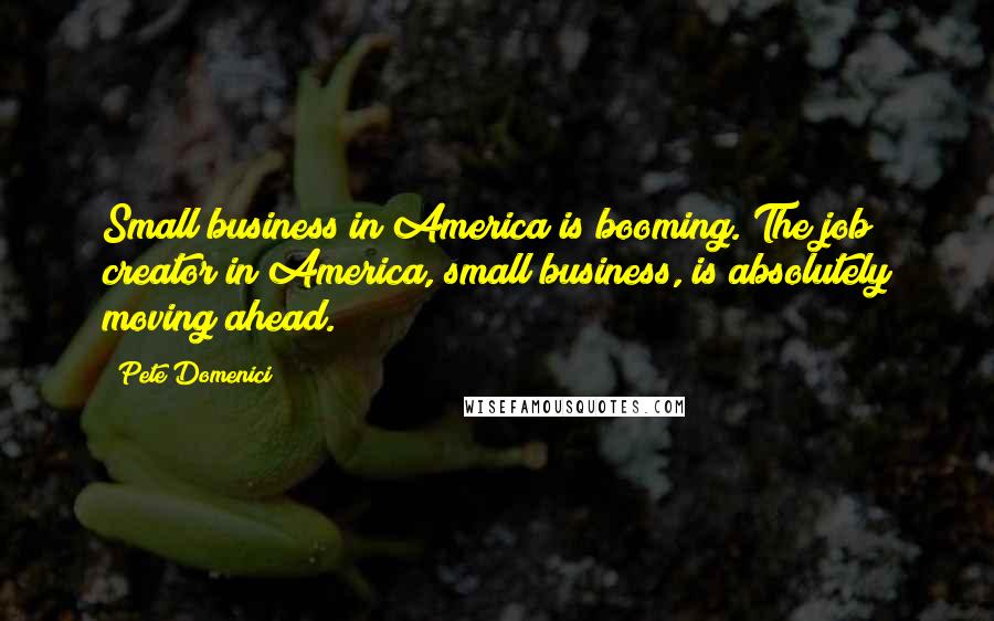 Pete Domenici quotes: Small business in America is booming. The job creator in America, small business, is absolutely moving ahead.