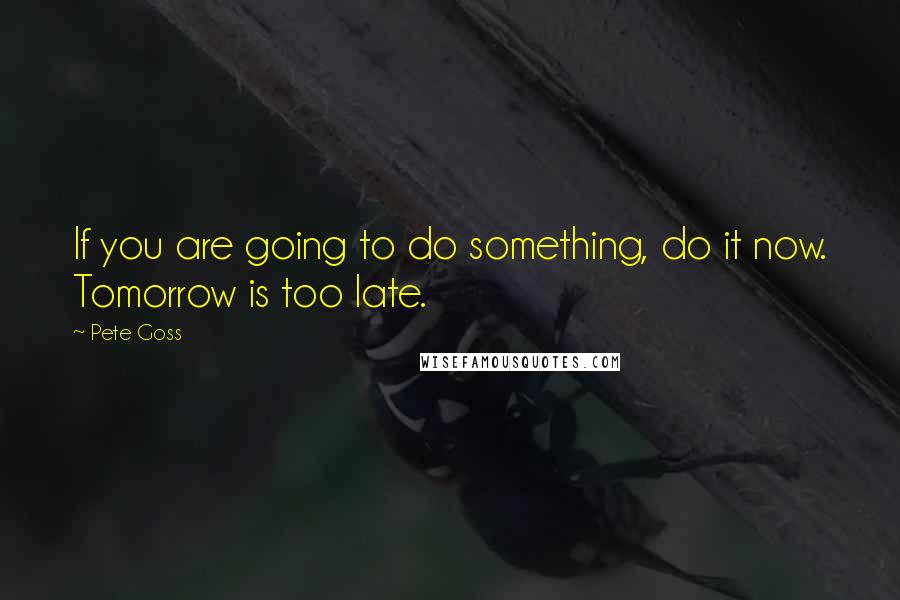 Pete Goss quotes: If you are going to do something, do it now. Tomorrow is too late.