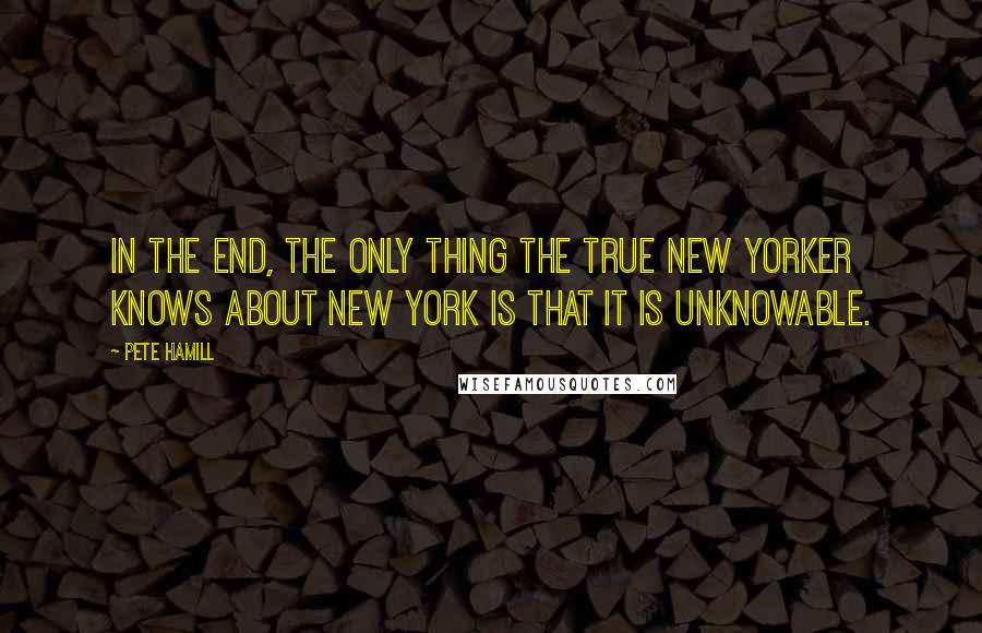 Pete Hamill quotes: In the end, the only thing the true New Yorker knows about New York is that it is unknowable.