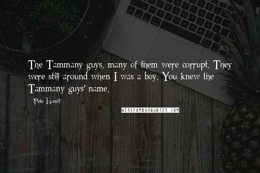 Pete Hamill quotes: The Tammany guys, many of them were corrupt. They were still around when I was a boy. You knew the Tammany guys' name. Pete Hamill quotes: The Tammany guys, many of them were corrupt. They were still around when I was a boy. You knew the Tammany guys' name.